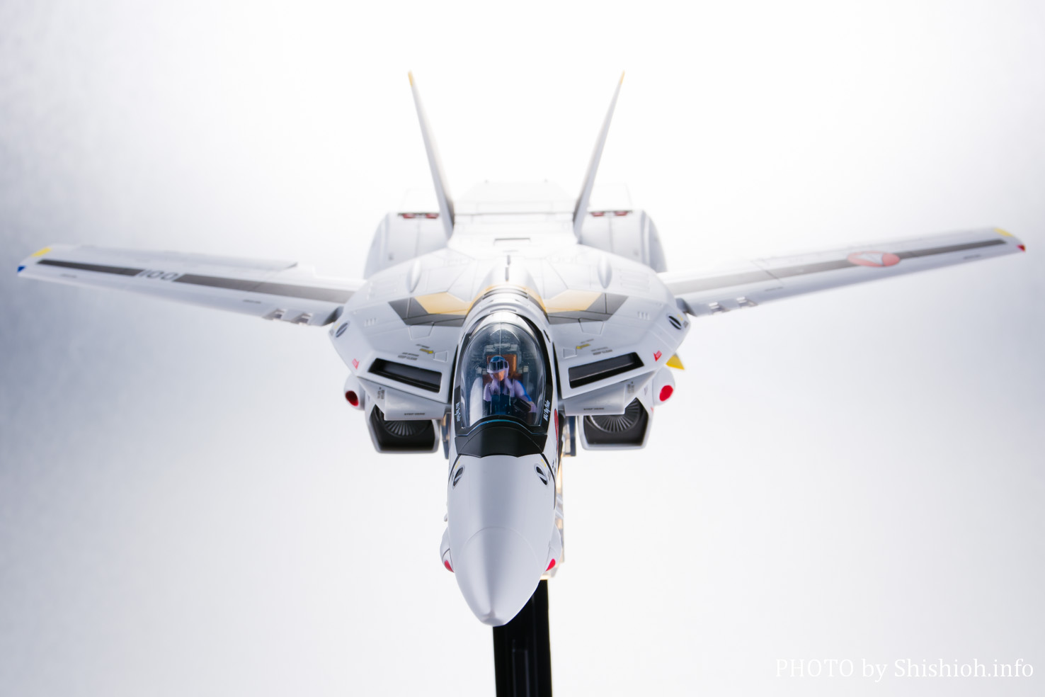 DX超合金 初回限定版VF-1Sバルキリー ロイ・フォッカースペシャル