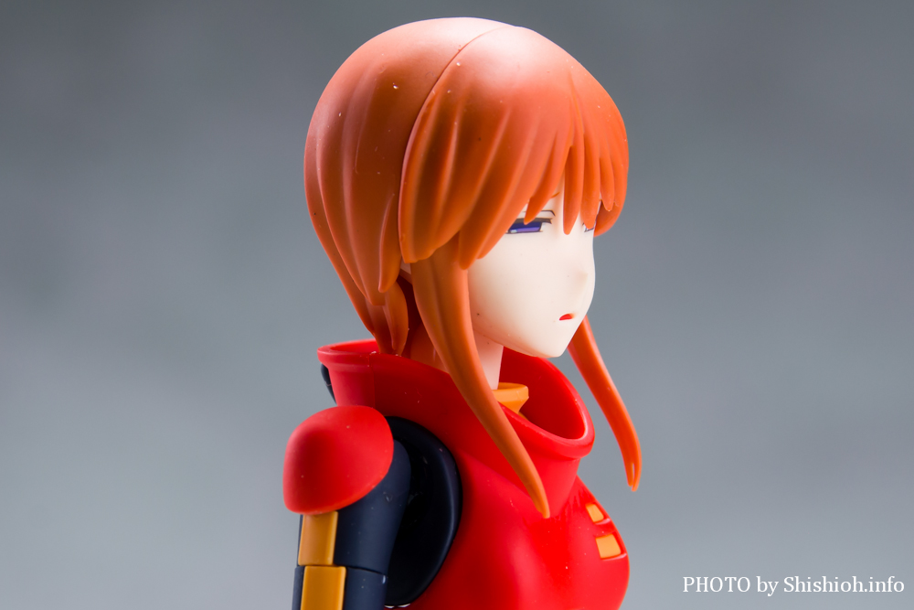 Figure-rise Standard プルツー