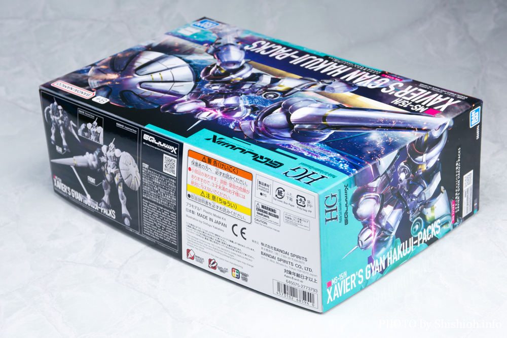 HG 1/144 エグザベ専用ギャン(ハクジ装備)