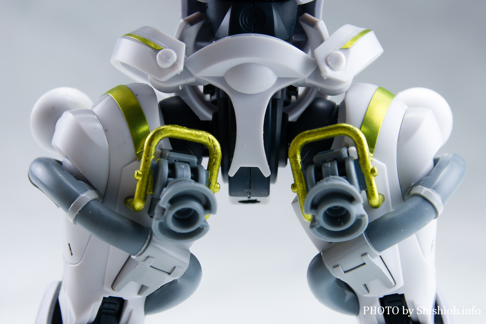 HG 1/144 GOUxpM(nNW)