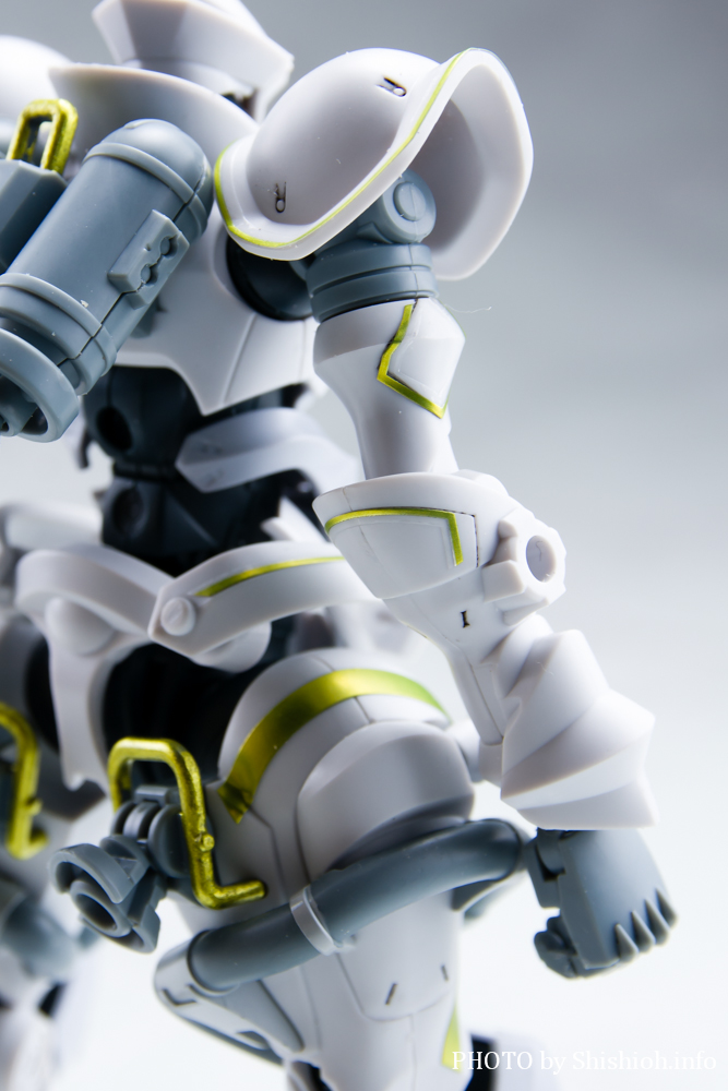 HG 1/144 エグザベ専用ギャン(ハクジ装備)