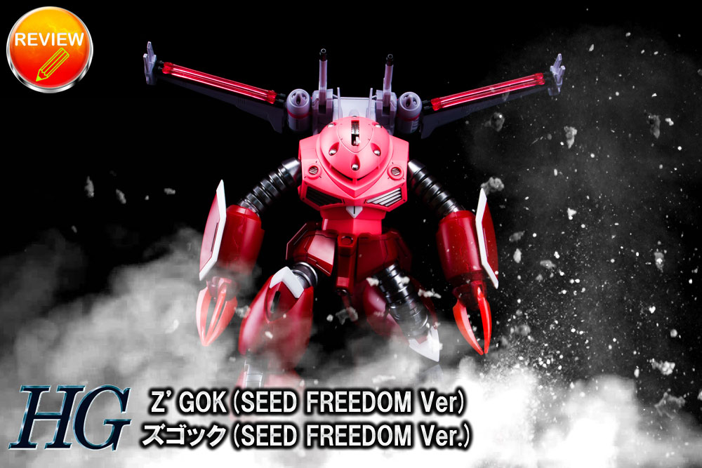 HG 1/144 YSbN(SEED FREEDOM Ver.)