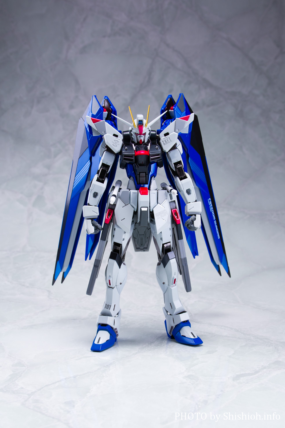 単品販売／受注生産 【新品未開封】METAL BUILD フリーダムガンダム