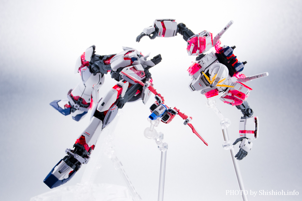 MG 1/100 ieBuK_ C Ver.Ka