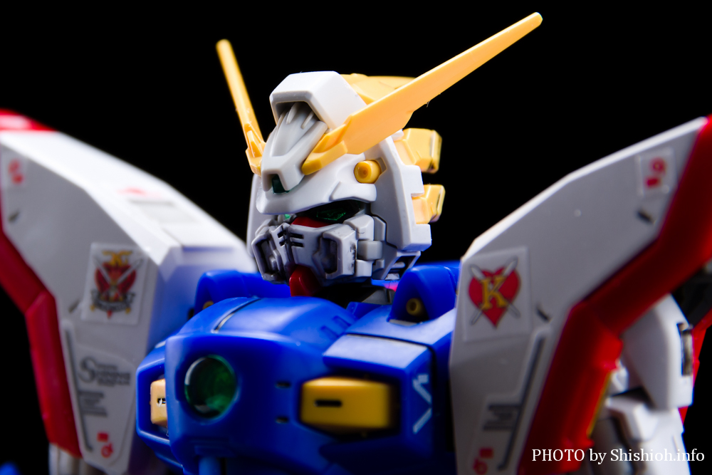 RG 1/144 VCjOK_