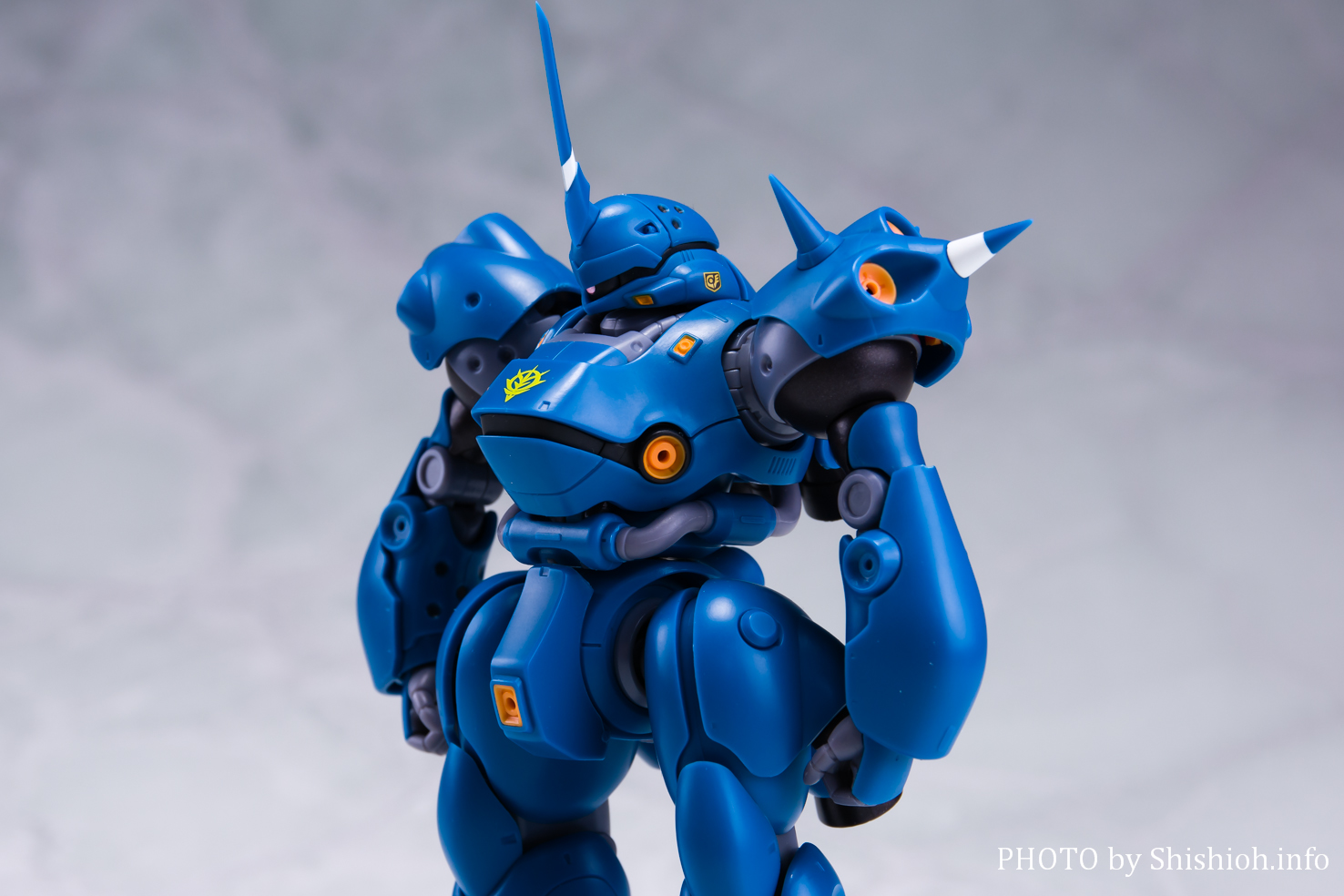 MS-18E ケンプファー ver. A.N.I.M.E. ROBOT魂 | www.trevires.be