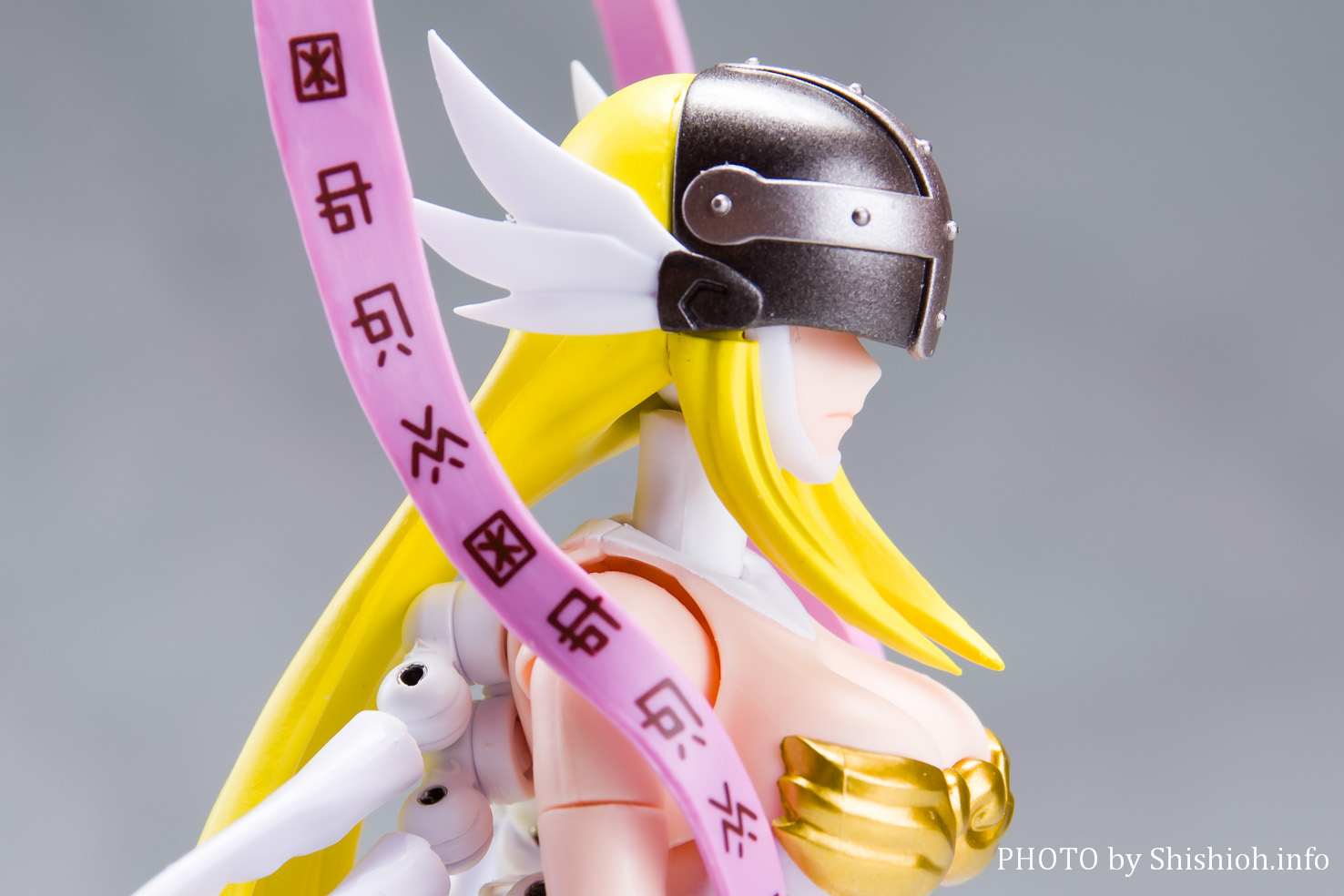 S.H.Figuarts GWFE[