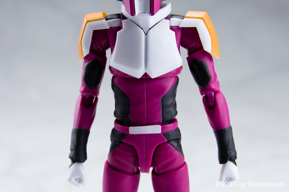 S.H.Figuarts AXEUiRpXpCbgX[cVer.j