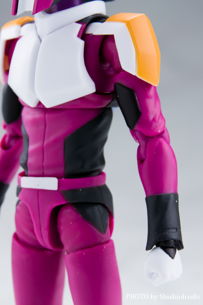 S.H.Figuarts AXEUiRpXpCbgX[cVer.j