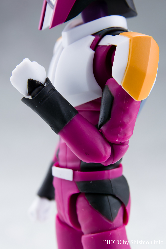 S.H.Figuarts AXEUiRpXpCbgX[cVer.j