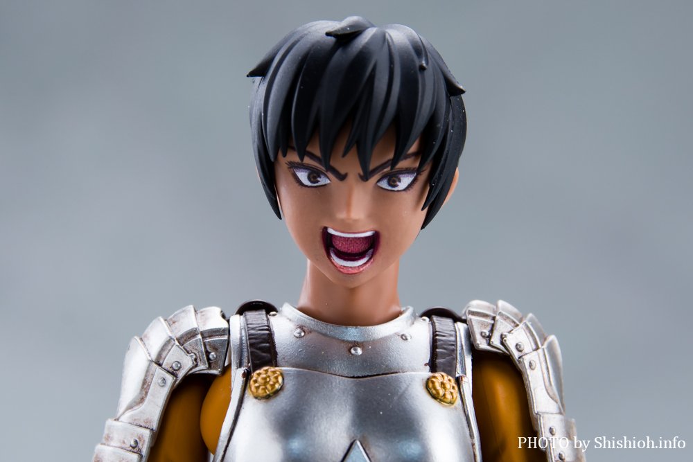 S.H.Figuarts �L���X�J�i��̒c�j