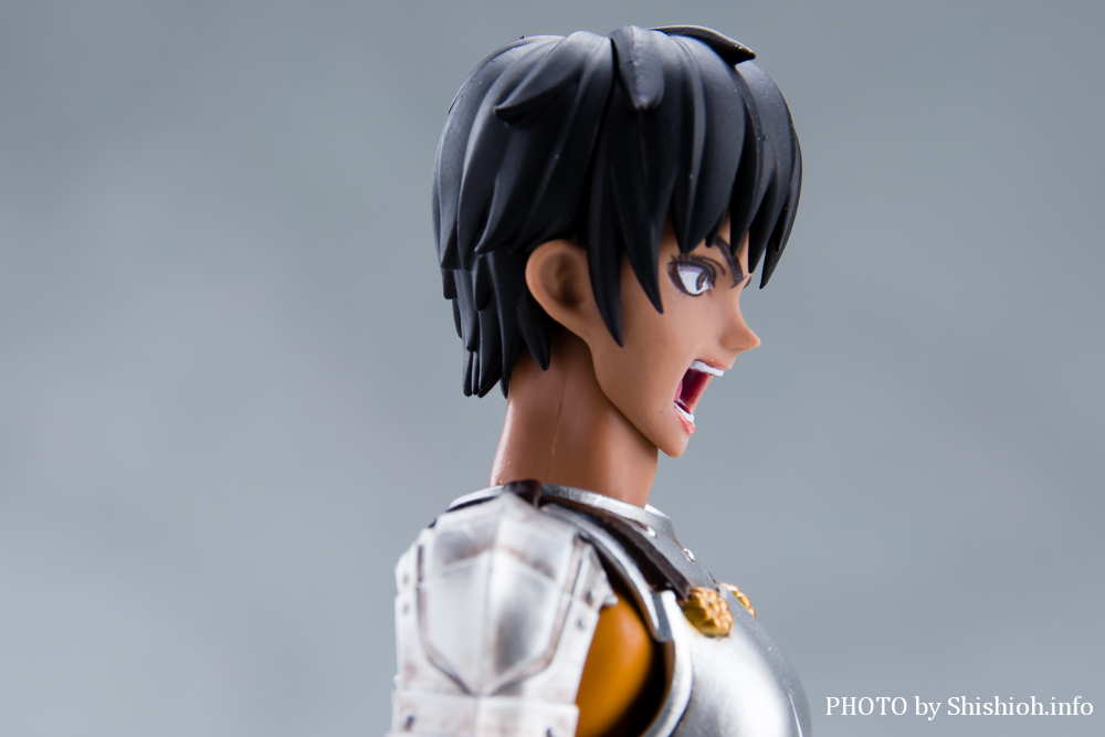 S.H.Figuarts �L���X�J�i��̒c�j