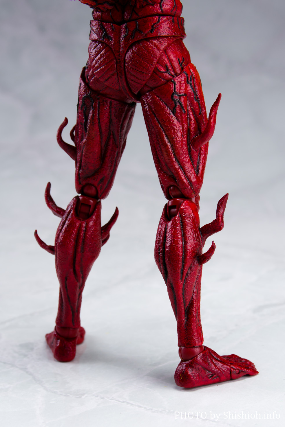 S.H.Figuarts J[lCWiFmFbgE[AEr[EJ[lCWj