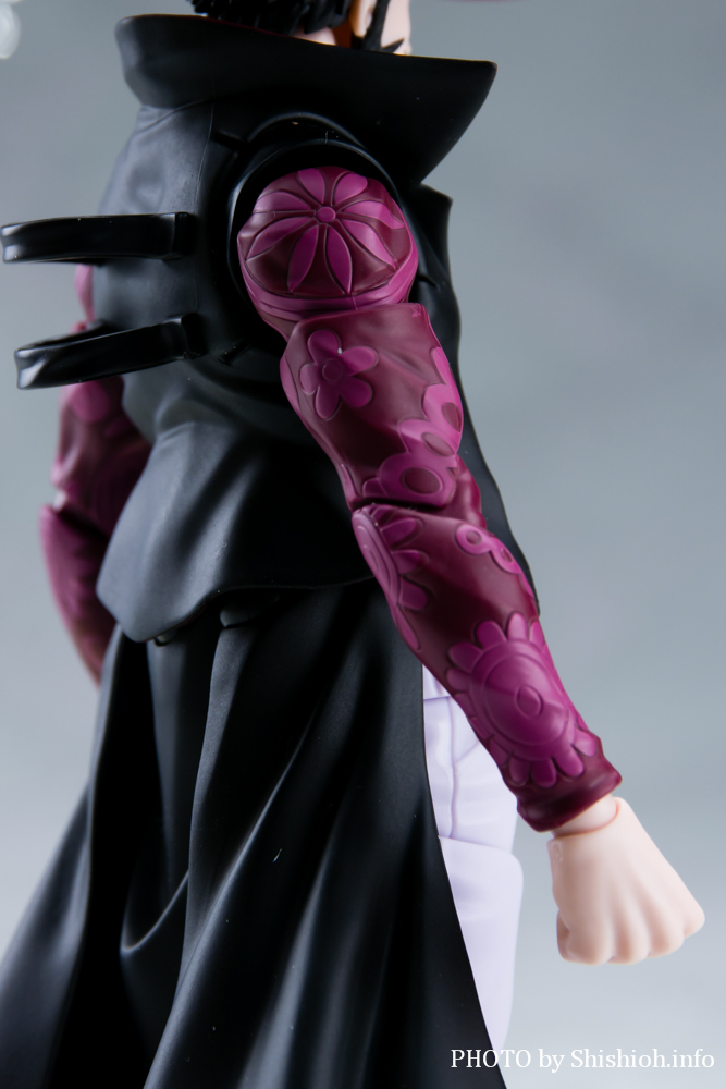 S.H.Figuarts �W�����L���[���E�~�z�[�N -��̖�-