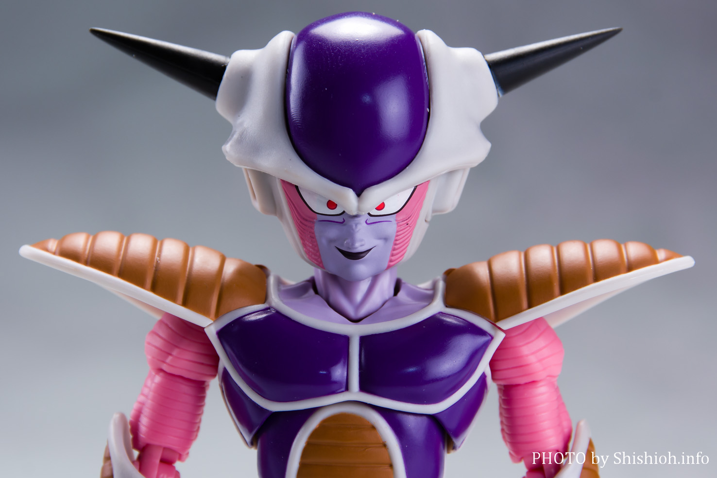 S.H.Figuarts t[U `ԁt[U|bh