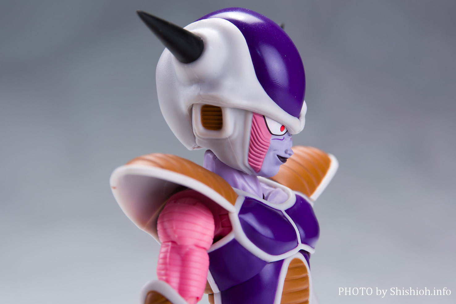 S.H.Figuarts t[U `ԁt[U|bh