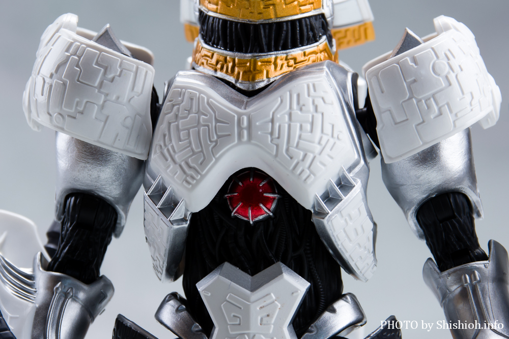 S.H.Figuarts MNg