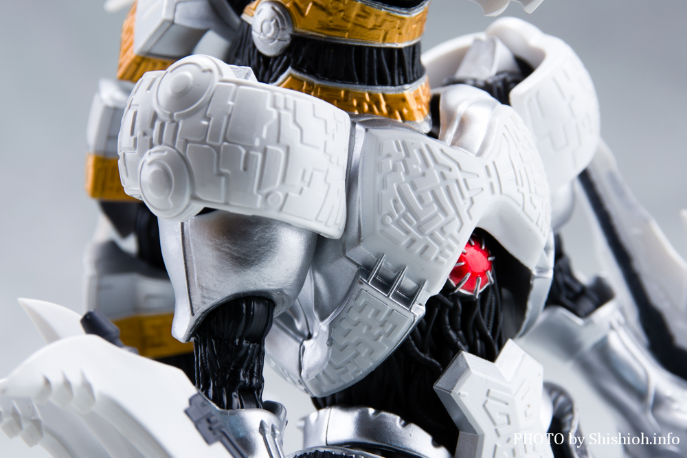 S.H.Figuarts MNg