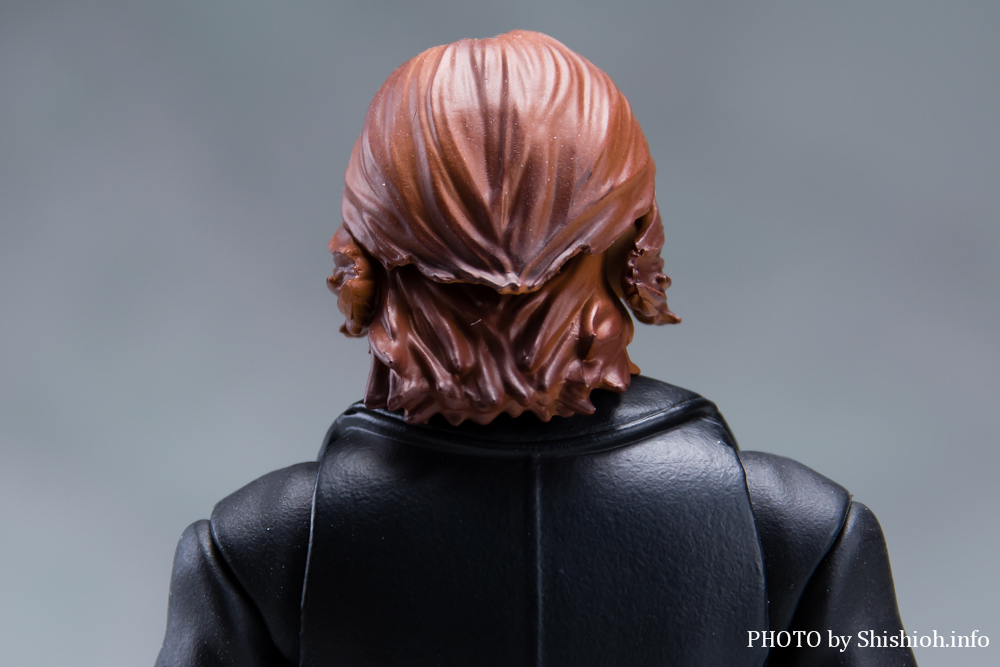 S.H.Figuarts I