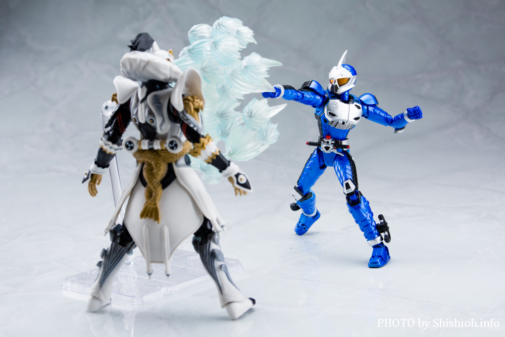 S.H.Figuarts ���ʃ��C�_�[�A�N�Z���g���C�A��