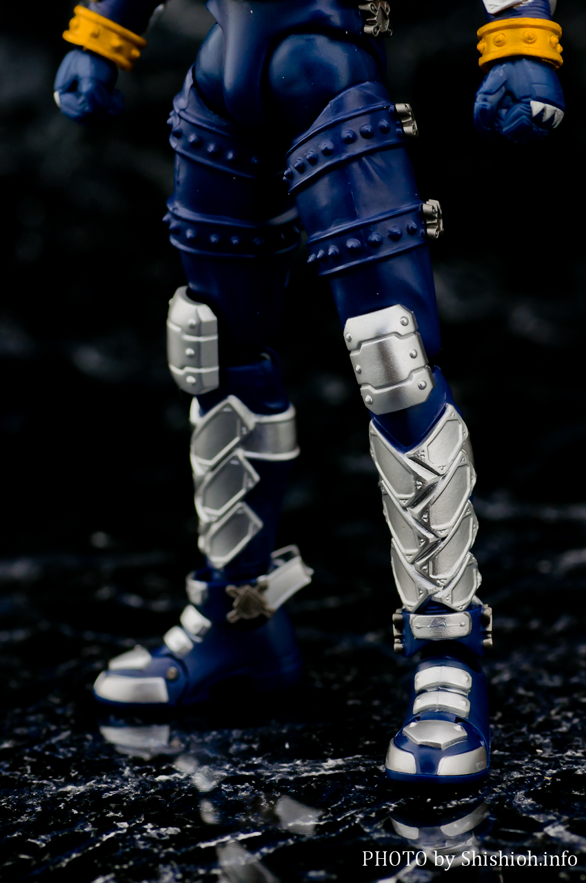 S.H.Figuarts ʃC_[uCh