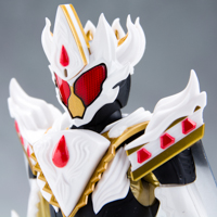 yOꃌr[zS.H.Figuarts ʃC_[K P[LOtH[