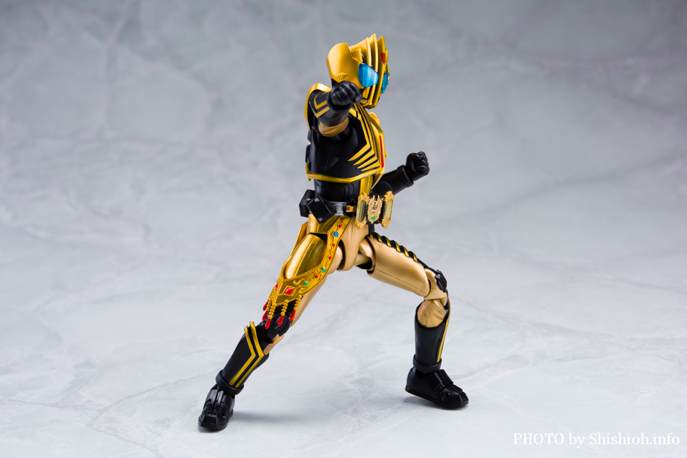 S.H.Figuarts ʃC_[WFh