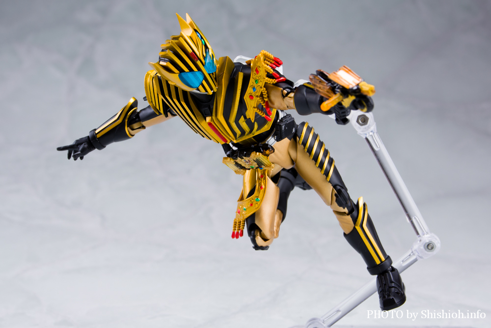 S.H.Figuarts ʃC_[WFh