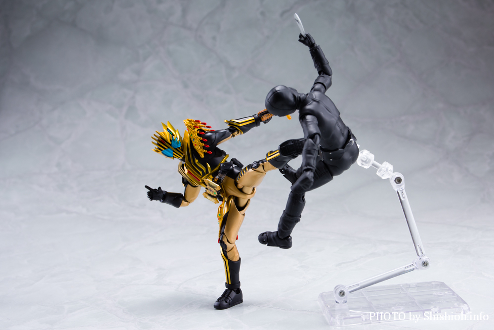 S.H.Figuarts ʃC_[WFh