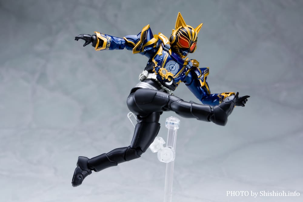 S.H.Figuarts 仮面ライダーナーゴ ファンタジーフォーム