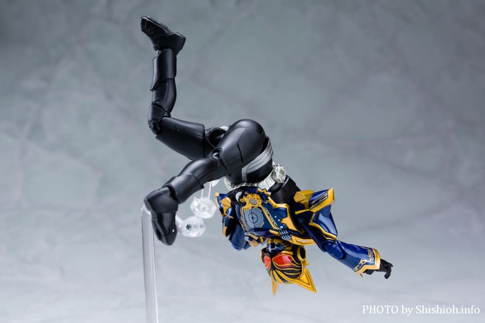 S.H.Figuarts 仮面ライダーナーゴ ファンタジーフォーム