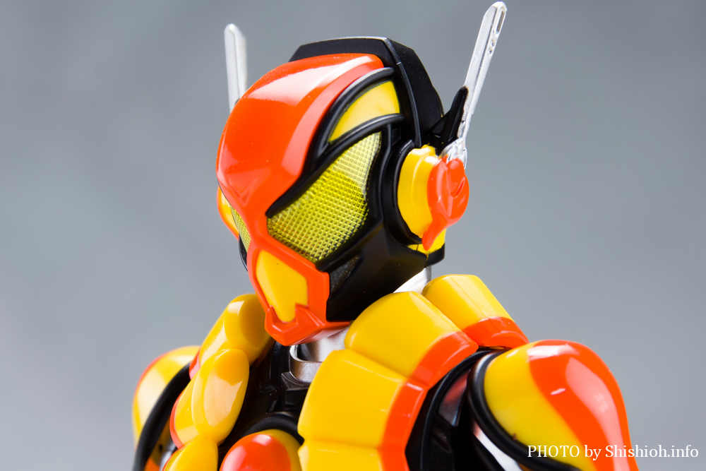 S.H.Figuarts ʃC_[ vJX^