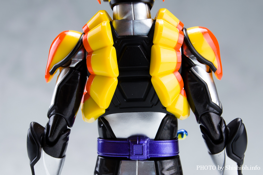 S.H.Figuarts ʃC_[ vJX^