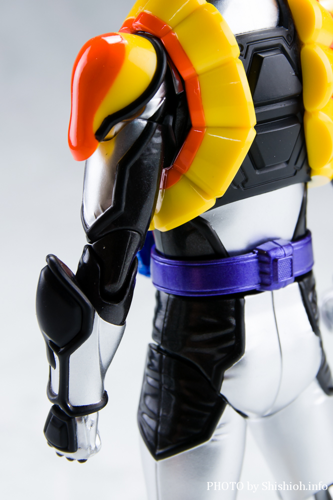 S.H.Figuarts ʃC_[ vJX^