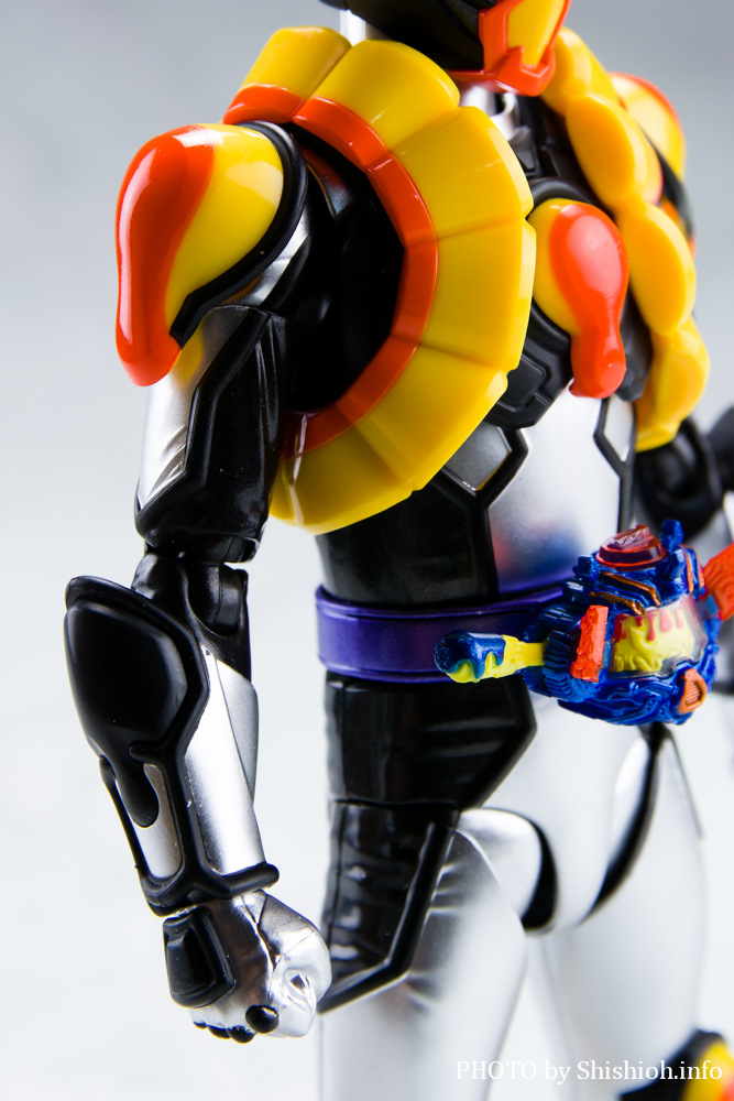 S.H.Figuarts ʃC_[ vJX^