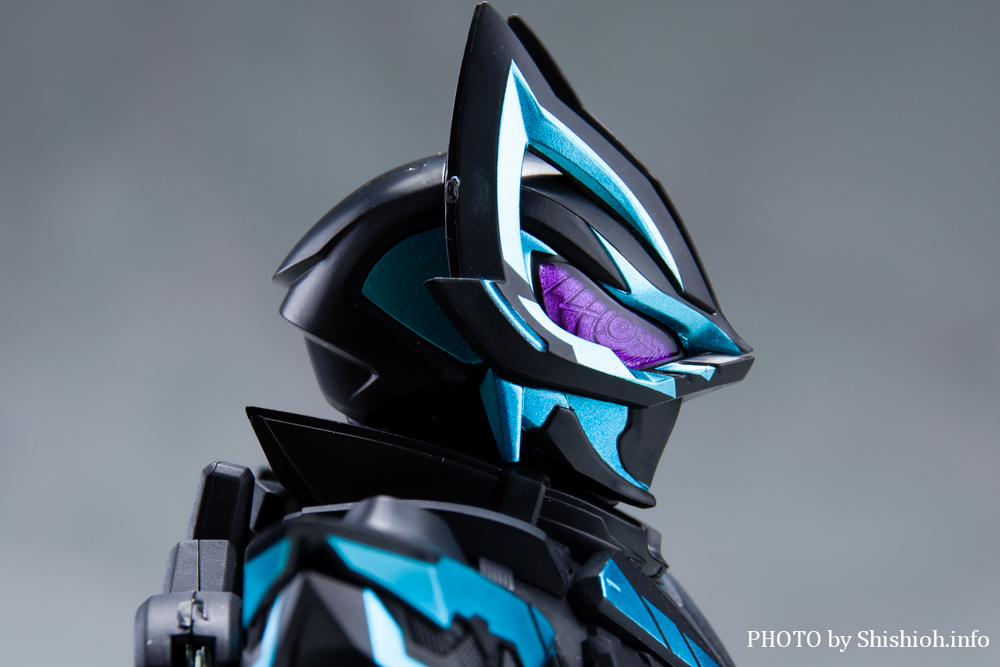 S.H.Figuarts ʃC_[XM[c