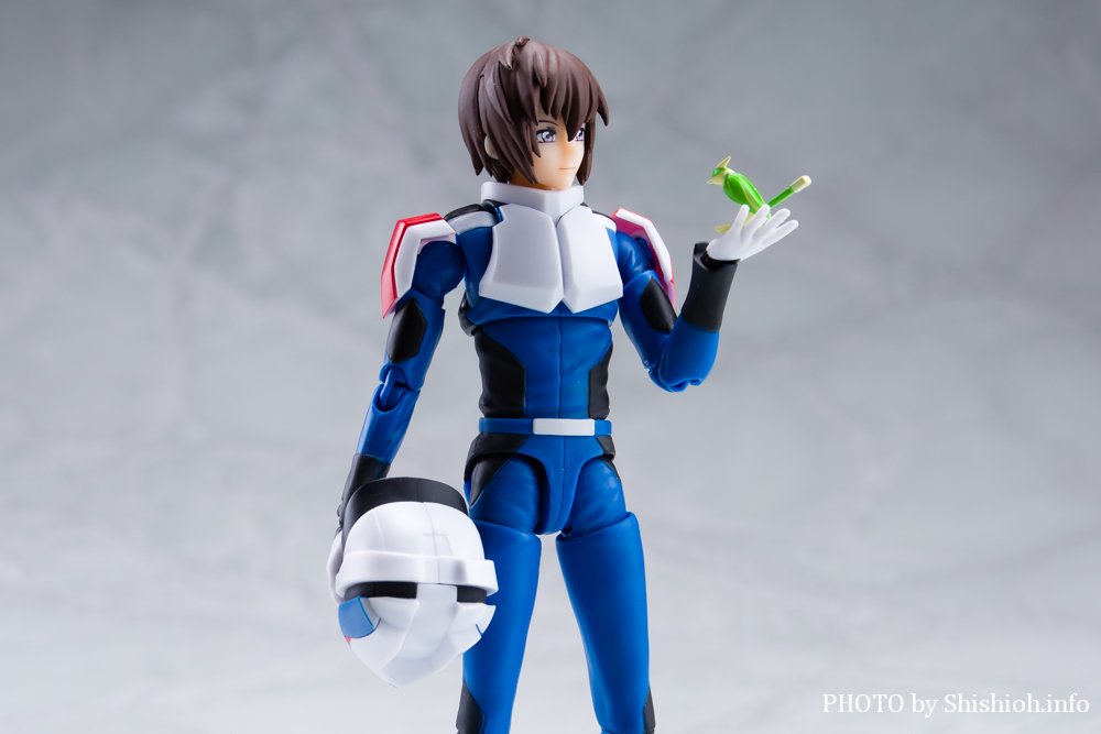 S.H.Figuarts LE}giRpXpCbgX[cVer.j