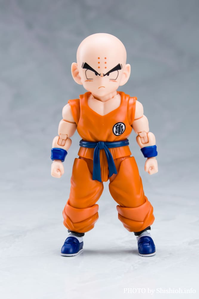 S.H.Figuarts �N������-�����̐e�F-