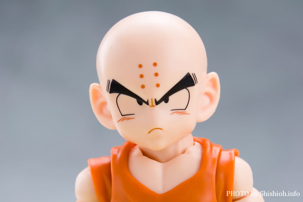 S.H.Figuarts �N������-�����̐e�F-