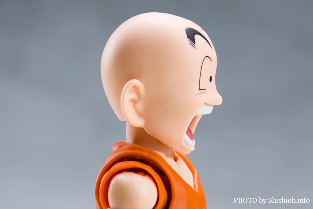 S.H.Figuarts �N������-�����̐e�F-