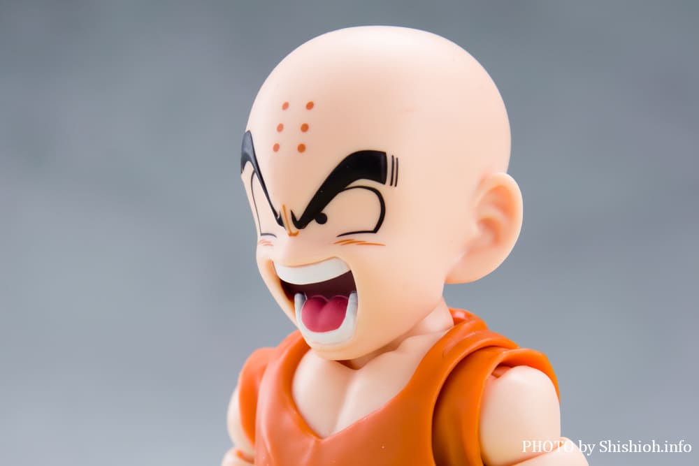 S.H.Figuarts �N������-�����̐e�F-