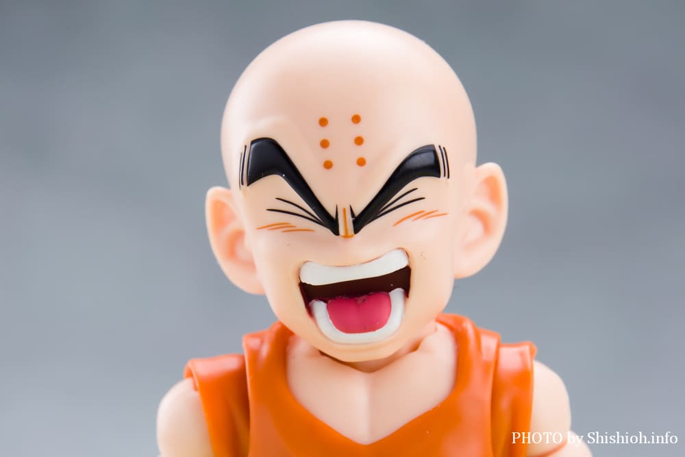 S.H.Figuarts �N������-�����̐e�F-