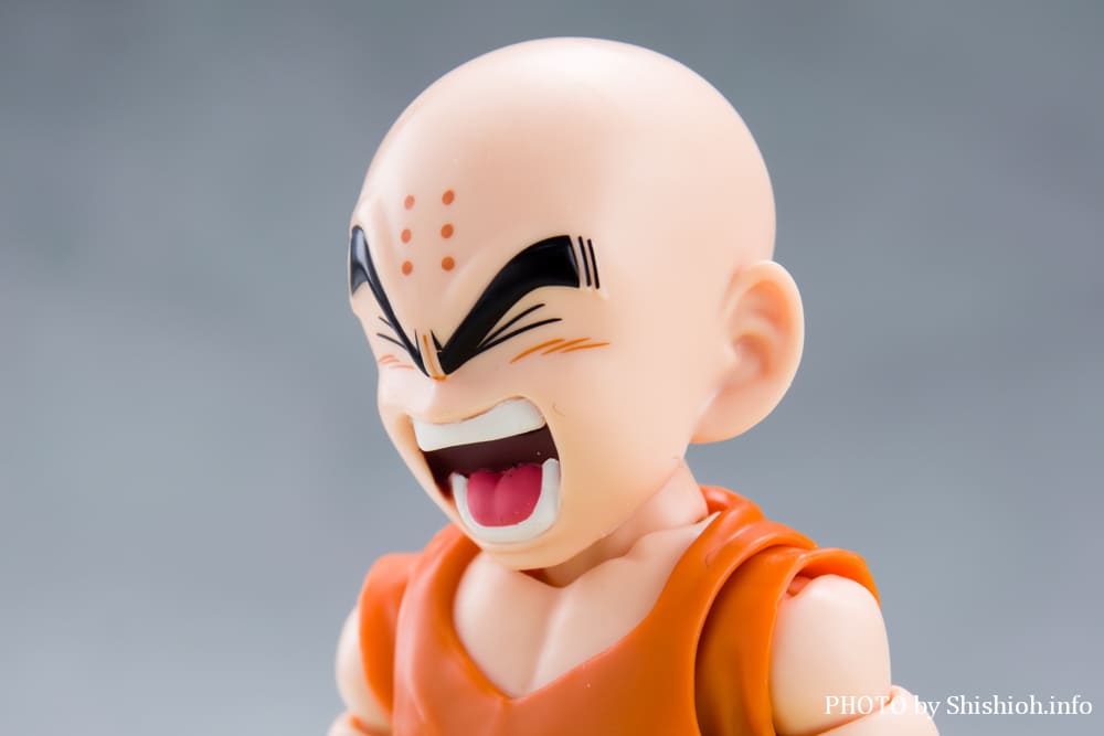 S.H.Figuarts �N������-�����̐e�F-