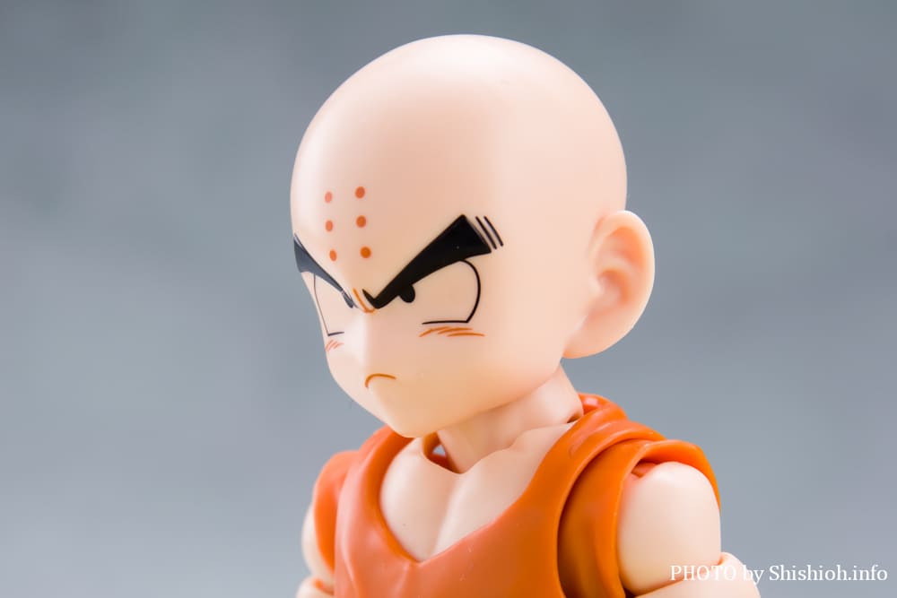 S.H.Figuarts �N������-�����̐e�F-
