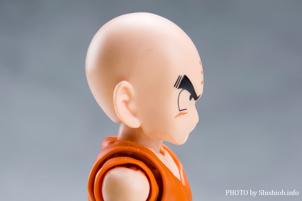 S.H.Figuarts �N������-�����̐e�F-