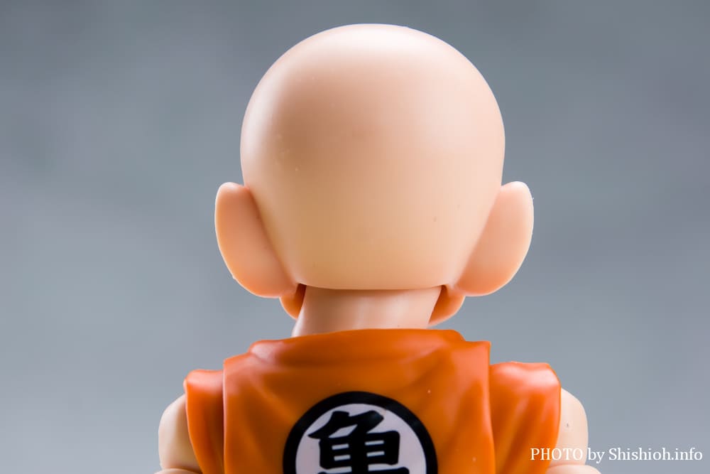 S.H.Figuarts �N������-�����̐e�F-