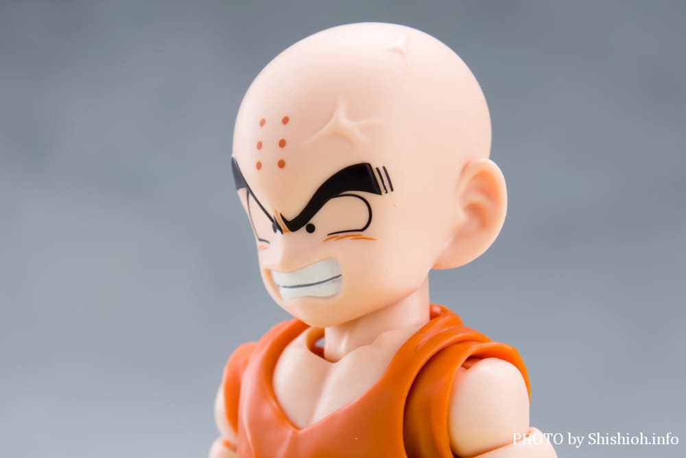 S.H.Figuarts �N������-�����̐e�F-