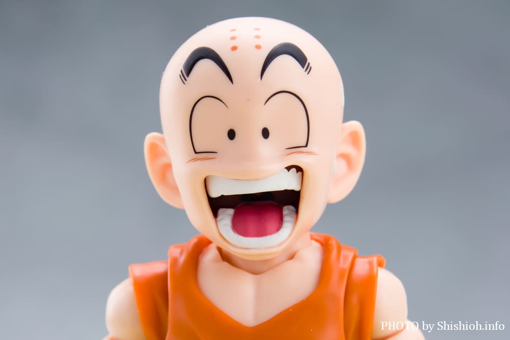 S.H.Figuarts �N������-�����̐e�F-