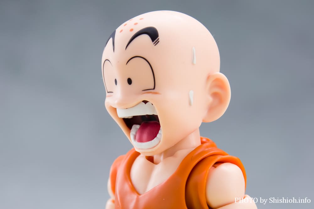 S.H.Figuarts �N������-�����̐e�F-