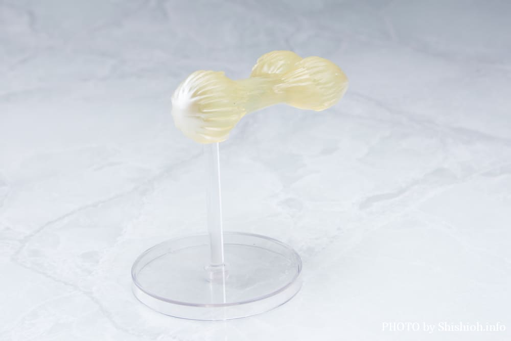 S.H.Figuarts �N������-�����̐e�F-